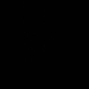 Meet your Posher, Jackson